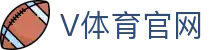 v站体育手机客户端 - 全功能版本迭代服务中心